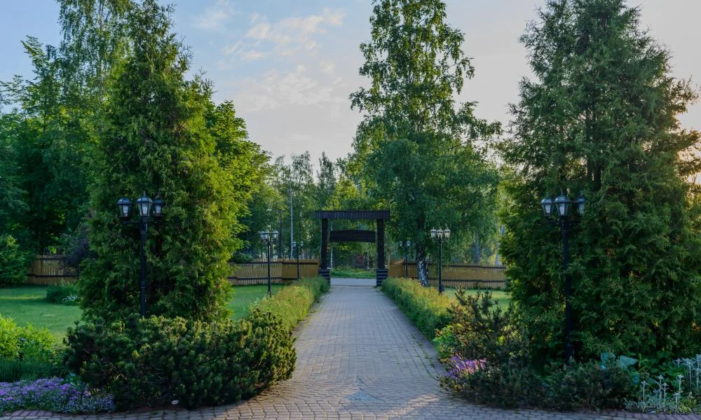 Фото отеля